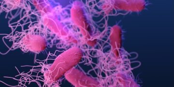Embajada estadounidense alerta por brote de salmonela en Costa Rica